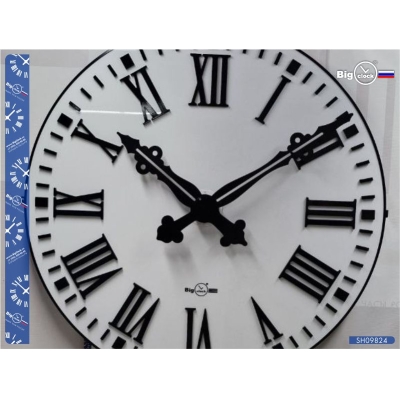 Уличные фасадные часы SH09824